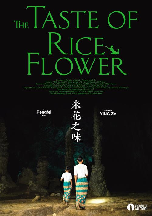 办假的佐治亚州驾驶证
